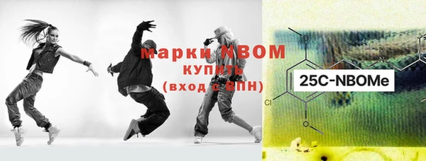 мдпв Абаза