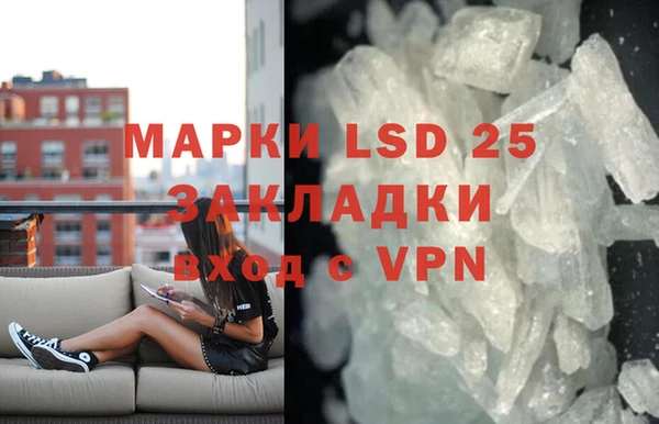 спайс Болотное